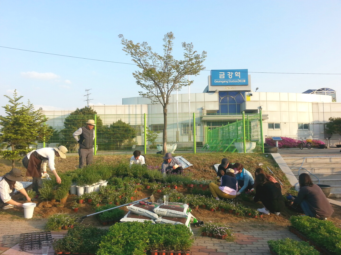안심창조밸리 허브정원식재_0417